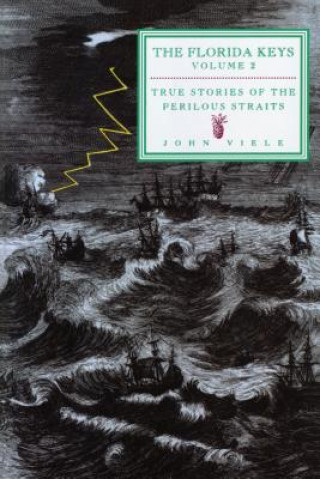 Kniha True Stories of the Perilous Straits John Viele