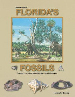 Buch Florida's Fossils Robin Brown