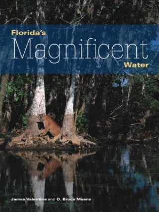 Könyv Florida's Magnificent Water James Valentine