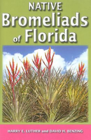 Książka Native Bromeliads of Florida David H. Benzing