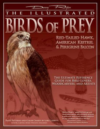 Könyv The Illustrated Birds of Prey: Red-Tailed Hawk, American Kestrel & Peregrine Falcon: The Ultimate Reference Guide for Bird Lovers, Woodcarvers, and Ar Denny Rogers