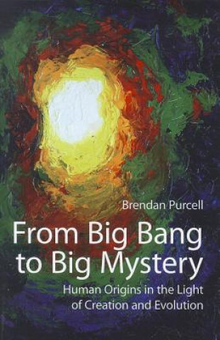 Книга From Big Bang to Big Mystery Brendan Purcell