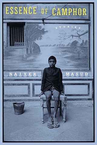 Kniha The Essence of Camphor Naiyer Masud