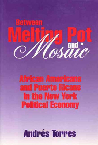 Kniha Between Melting Pot and Mosaic: African American and Puerto Ricans in the New York Political Economy Andres Torres