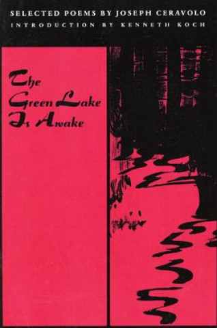 Könyv Green Lake Is Awake Joseph Ceravolo