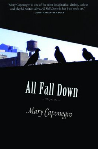 Kniha All Fall Down Mary Caponegro