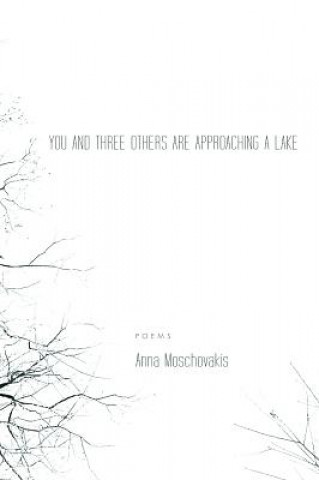 Book You and Three Others Are Approaching a Lake Anna Moschovakis