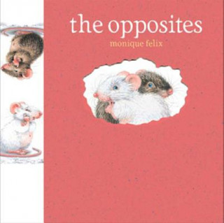 Book The Opposites Monique Felix