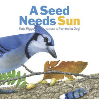 Kniha A Seed Needs Sun Kate Riggs