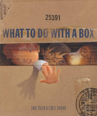 Kniha What to Do with a Box Jane Yolen