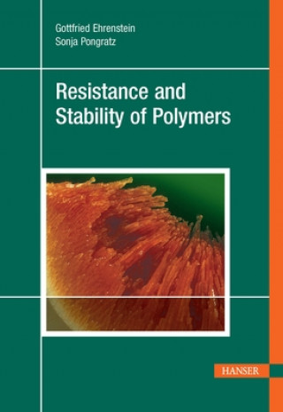 Kniha Resistance and Stability of Polymers Gottfried Ehrenstein