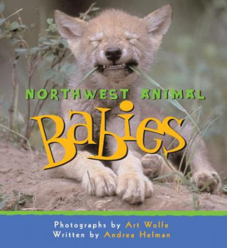 Kniha Northwest Animal Babies Andrea Helman