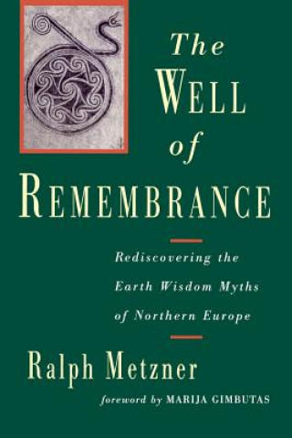 Kniha Well of Remembrance Ralph Metzner