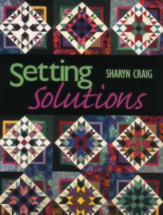 Knjiga Setting Solutions Sharyn S. Craig