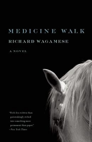 Kniha Medicine Walk Richard Wagamese