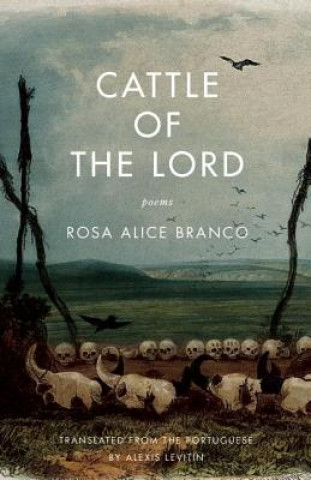 Könyv Cattle of the Lord Rosa Alice Branco