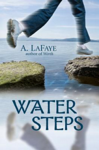 Buch Water Steps A. LaFaye