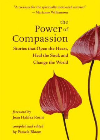 Книга The Power of Compassion: Stories That Open the Heart, Heal the Soul, and Change the World Joan Halifax Roshi