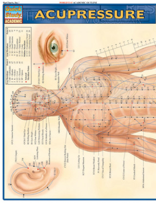 Carte Acupressure Laminate Reference Chart BarCharts Inc