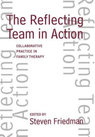 Könyv Reflecting Team in Action Steven Friedman