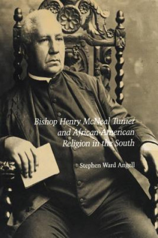 Carte Bishop Henry McNeal Turner and African-American Religion in the South Stephen Ward Angell