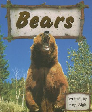Książka Bears Amy Algie