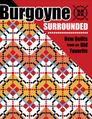 Buch Burgoyne Surrounded: New Quilts from an Old Favorite Aqs