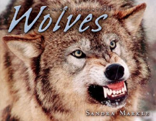 Carte Wolves Sandra Markle