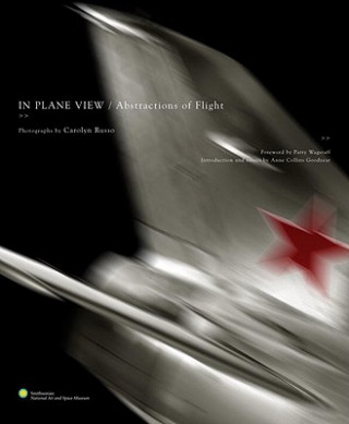 Könyv In Plane View: Abstractions of Flight Patty Wagstaff