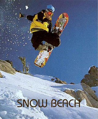 Kniha Snow Beach Alex Dymond