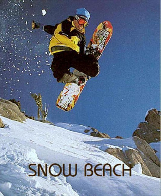 Книга Snow Beach Alex Dymond