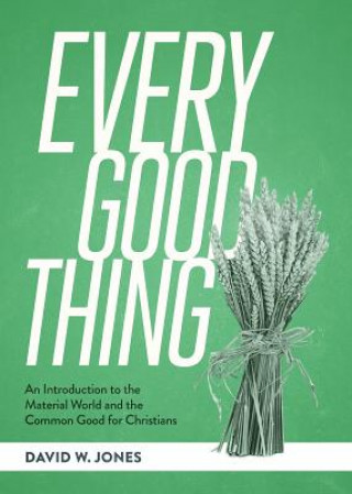 Książka Every Good Thing: An Introduction to the Material World and the Common Good for Christians David W. Jones