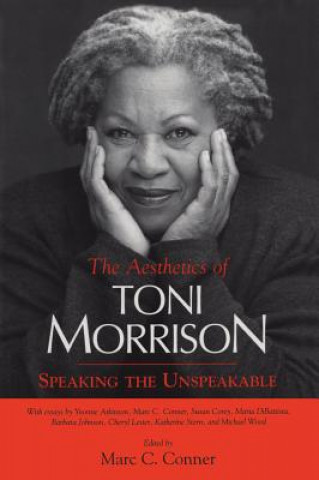 Buch Aesthetics of Toni Morrison Marc Cameron Reyes-Conner