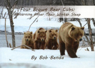 Kniha Four Brown Bear Cubs: Returning After Their Winter Sleep Bob Benda