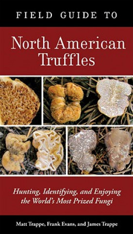 Könyv Field Guide to North American Truffles Matt Trappe