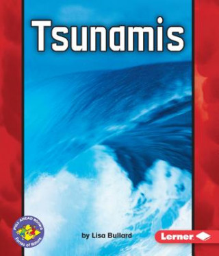 Kniha Tsunamis Lisa Bullard