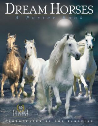 Carte Dream Horses: A Poster Book Deborah Burns