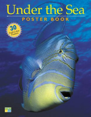 Book Under the Sea Poster Book Andy Case