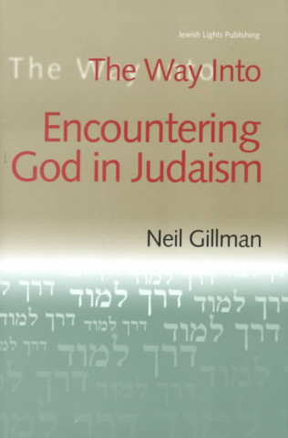 Carte Way into Encountering God in Judaism Neil Gillman
