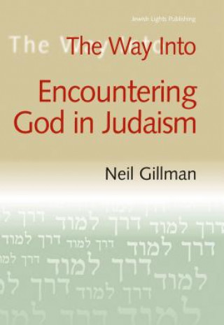 Carte Way into Encountering God in Judaism Neil Gillman