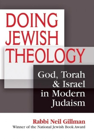 Carte Doing Jewish Theology Neil Gillman