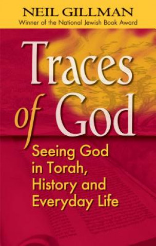 Könyv Traces of God Neil Gillman
