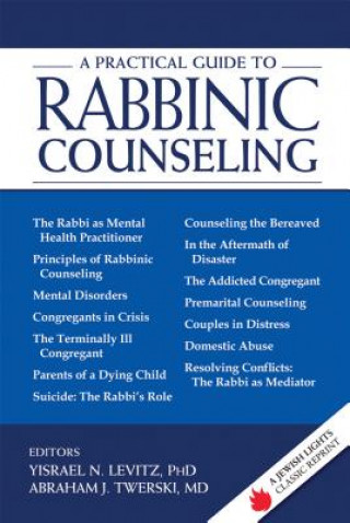 Kniha Practical Guide to Rabbinic Counseling Yisrael N. Levitz