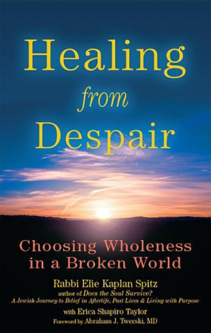 E-kniha Healing from Despair Rabbi Elie Kaplan Spitz