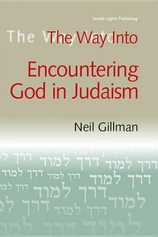 E-kniha Way Into Encountering God In Judaism Neil Gillman