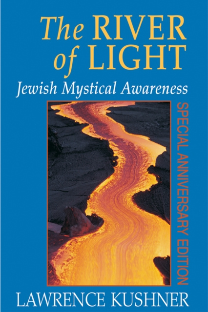E-kniha River of Light Lawrence Kushner