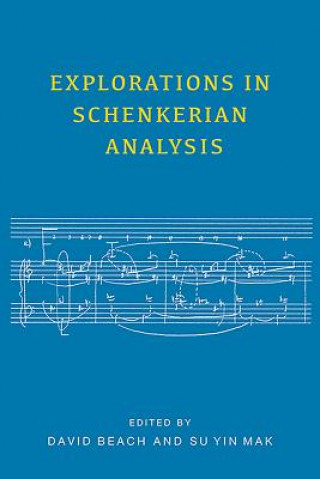 Knjiga Explorations in Schenkerian Analysis David Beach