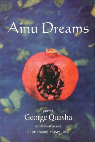 Buch Ainu Dreams George Quasha