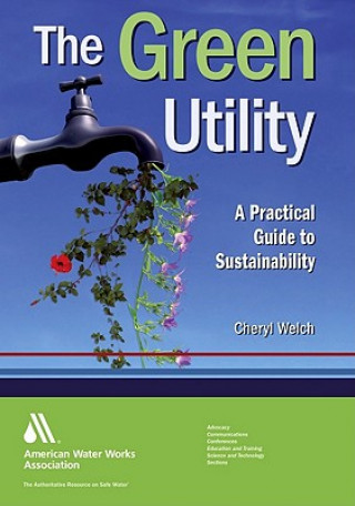 Kniha Modeling Water Quality in Distribution Systems Robert M. Clark