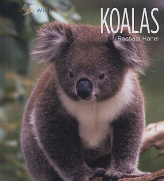 Kniha Koalas Rachael Hanel